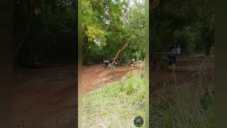 Nissan D22 Offroad  shorts