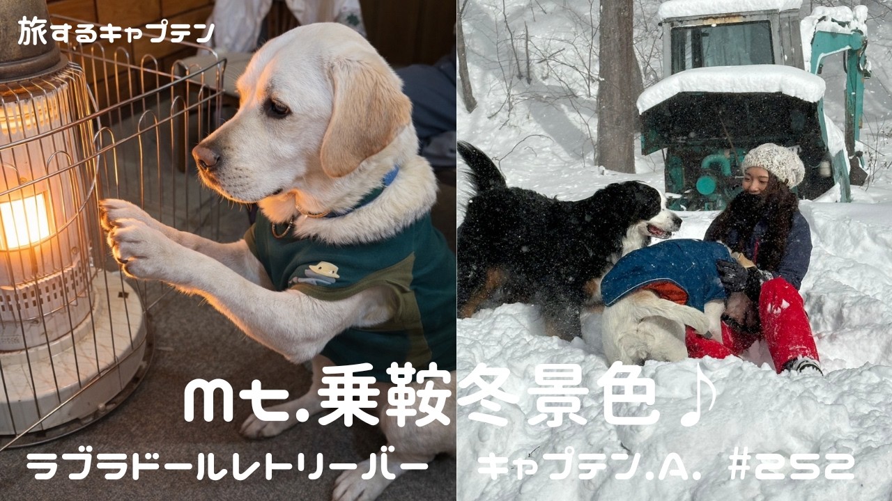 #252 Mt.乗鞍雪景色♪ ラブラドールレトリバー 　キャプテン