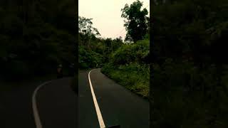 Story WA Panek diawak  kayo diurang