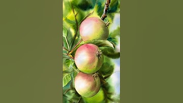 Watercolor apple painting #watercolorpainting #watercolorstilllife #watercolorbotanicals