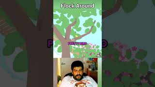 Flock Around is a bird watching game where you take photos #gaming