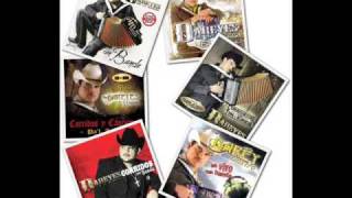 que te entregues hoy - dareyes de la sierra