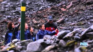 Fox Trail Fox Glacier Guiding