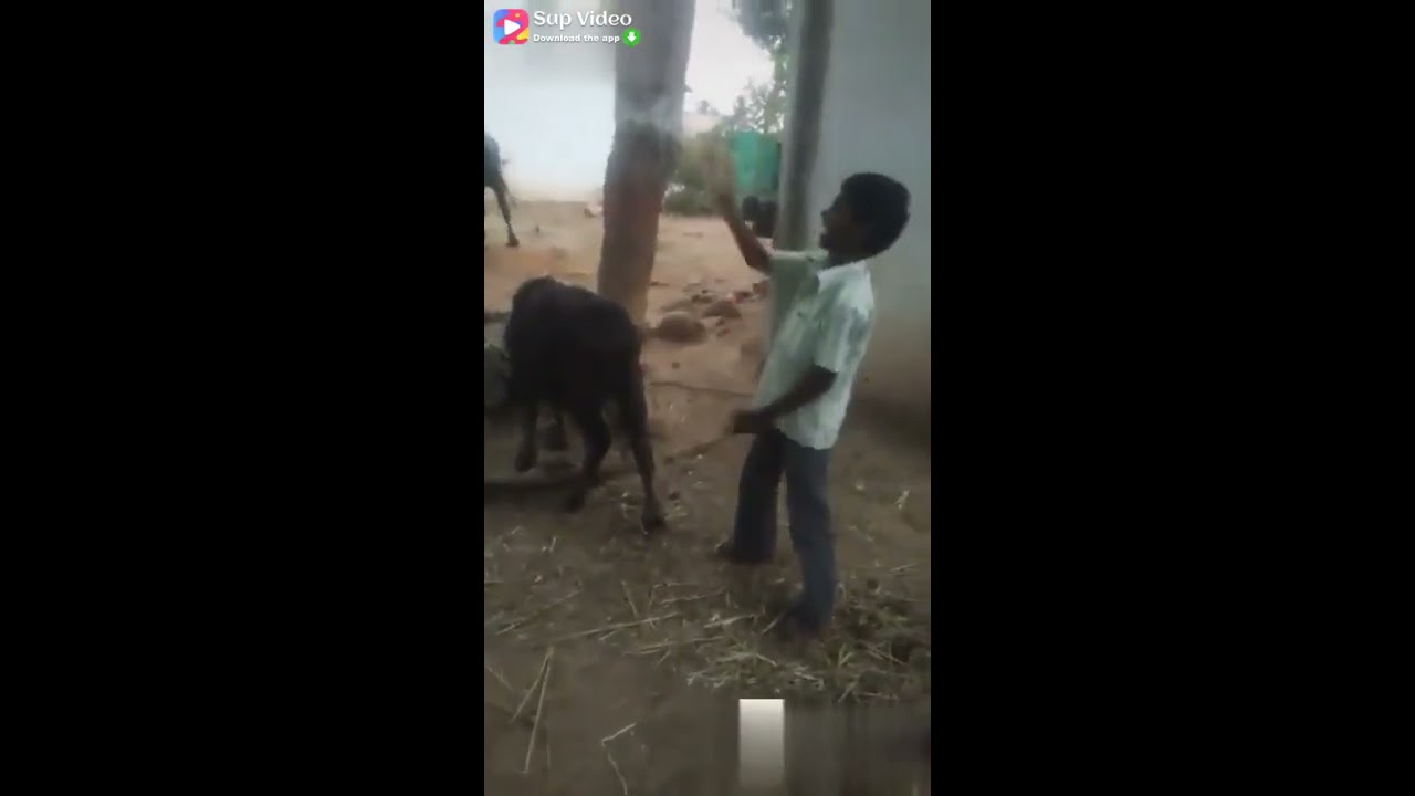 Tamil bad words song  by Tamil boy