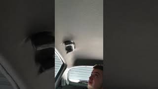 Araç Tavan Köpüğü Tavan Sarkmasına Son Hd