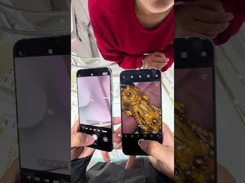 Huawei Mate 80 Pro Max Vs Vivo X300 Pro Which Macro Shot Is Better Mate80promax Vivox300pro 