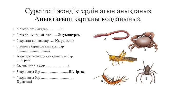 Медициналық тексеру кезінде жасырын камера