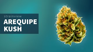 Arequipe Kush - StrainView