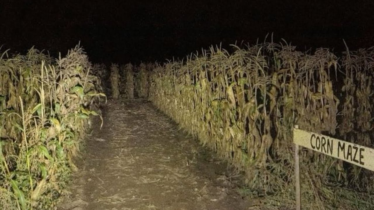 Creepypastas para tener de fondo mientras la Gótica del McDonald's le escupe a tu hamburguesa