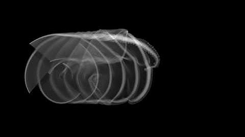 Hybrid OVERFLOW-vortex method solution of 4-bladed rotor (top view)