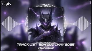 APOLOGIZE x RISE UP x SUMMERTIME - Track List Nhạc EDM Remix Hot 2025 || EDM Radio