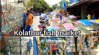 kolathur fish market | குளத்தூர் வண்ண மீன் கடைகள் #kolathur #petmarket  #aquarium #chennai #dog