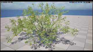 WinterCrownWORKS : UnrealEnmgine5 SpeedTree VAT 03