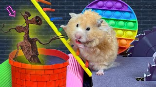 🐹 Hamster escapes Siren Head prison - Cute Hamster Maze by MR HAMSTER 7,462 views 1 month ago 30 minutes