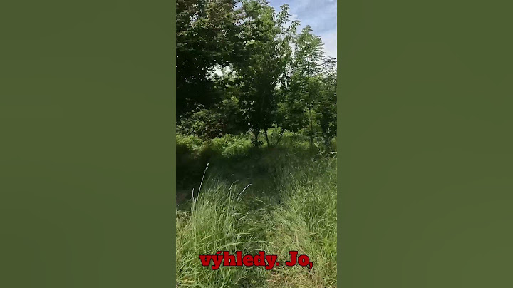NOVÁ CESTA!! 🔥🔥 #fyp  #viral  #funny