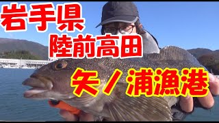 陸前高田・広田半島のロックフィッシュ釣りポイント一覧（岩手県三陸