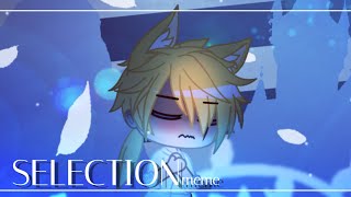 [OC] Selection MEME