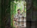 Adjust clip in fusion page #creator #viral #fusion #davinciresolve #creativecontentcreator