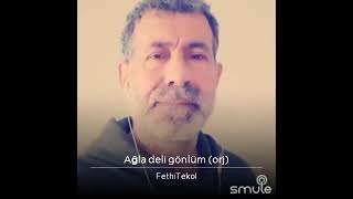 Fethi Tekol Ağla Deli Gönlüm