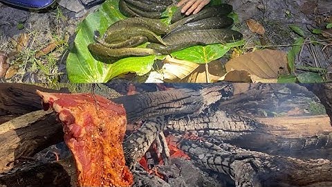 Câu cá #95[Cắm Câu Cá Lóc Trúng Đậm – Thưởng Thức Sườn Nướng Một Nắng Ướp Kiến Vàng Ngay Tại Ổ!]