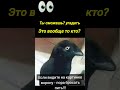👉 😱 Только 1% людей ответят правильно!