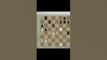 1 051-5/ CHESS GAME: VICEMASTER-NOVICE. #chess #chessgame