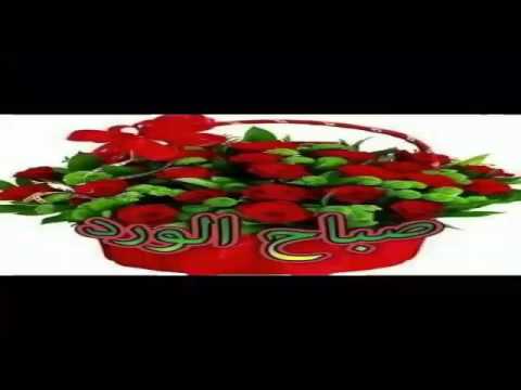 قصيدة انت نور الله فجرآ