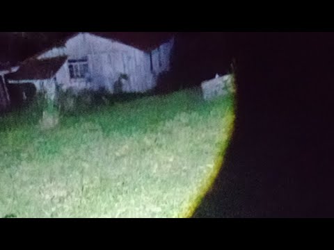 Ao vivo em o Flautista