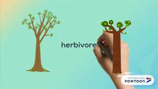 Food Webs