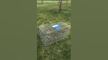 ZHUOMAO YOUPIN® gabion fence