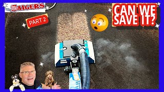 Absolute Disaster! Can We Clean and Save this 2 Year Old Carpet?