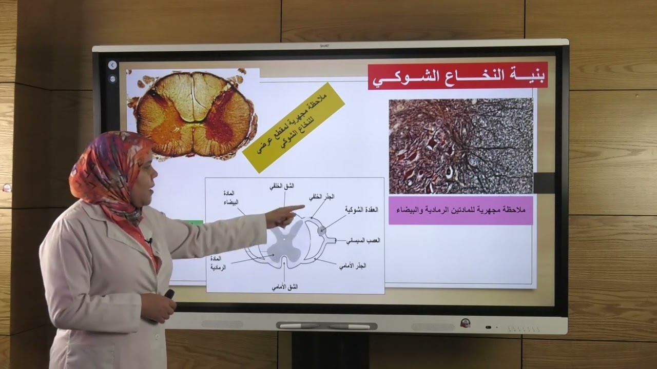 الثالثة اعدادي - علوم الحياة والأرض - وظائف الربط