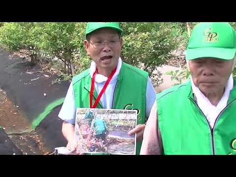 和田山 Berry Parkの紹介動画サムネイル