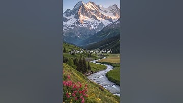 #القارئ فارس علاد #اذكرالله #اكسبلور #المصحف #لايك #راحة_نفسية #تيك_توك #duet #حالات_واتس