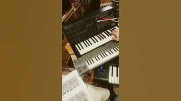 only korg ms20 can make this sound...