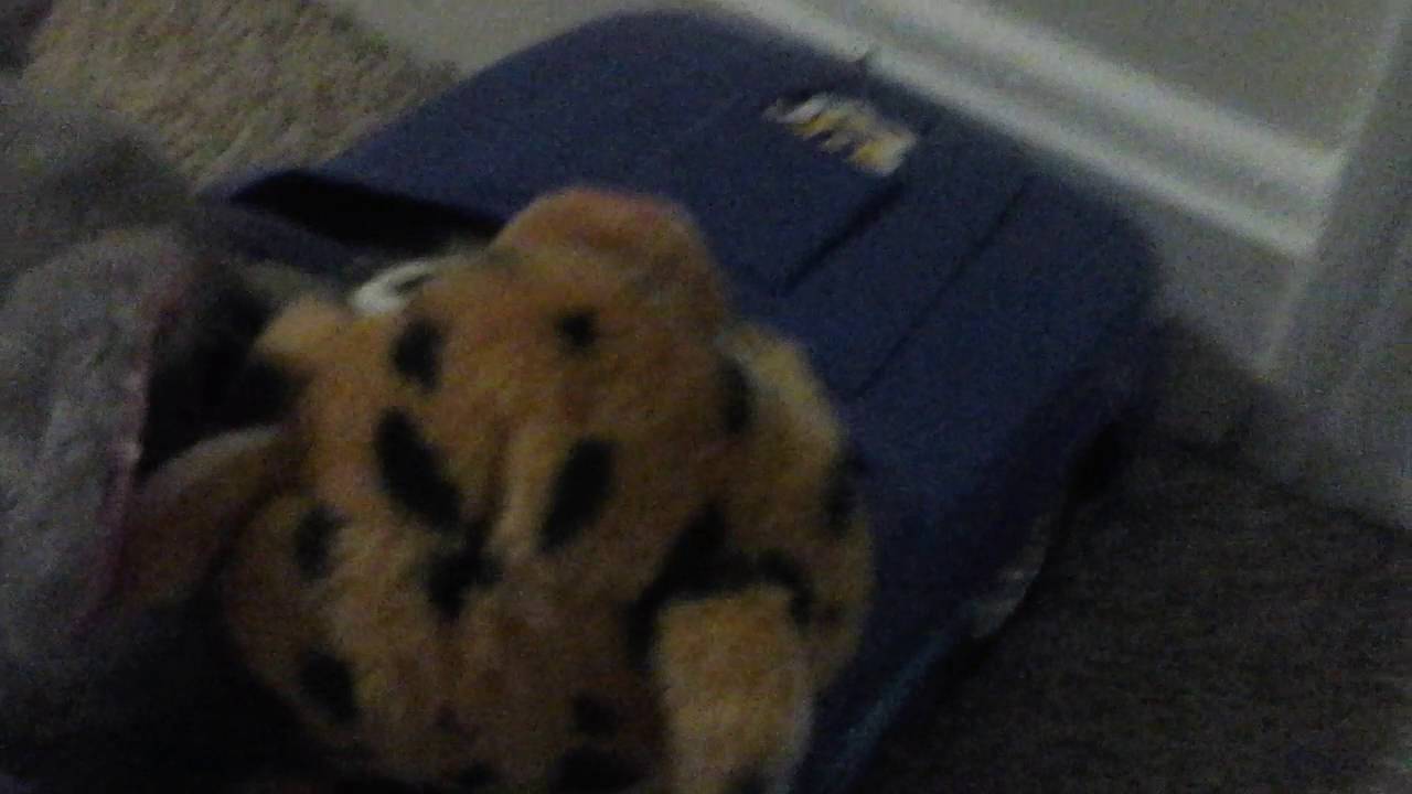 Beanie boo jail part 1 YouTube