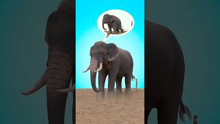 Stupid Eliphant! How?🤔|| #shorts