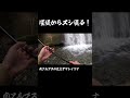 堰堤からヌシ現る！ #渓流釣り #イワナ #源流