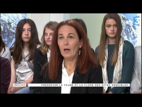 Image du reportage Inseme 2 du 21/03/2017 : Préserver la faune et la flore des sites sensibles. (France 3 Corse ViaStella)