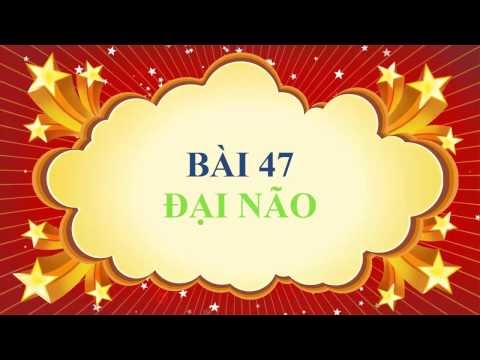 Sinh học lớp 8 - Bài 47 - Đại não - youtube