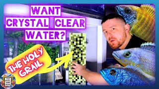 My Secret Weapon for ULTRA CLEAR Aquarium Water!