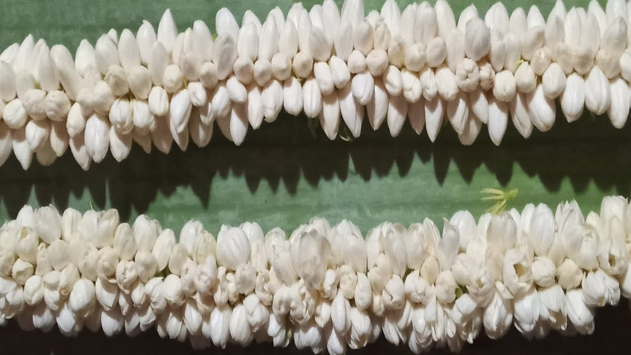 TUTORIAL RONCE MELATI KEKET (sisir)