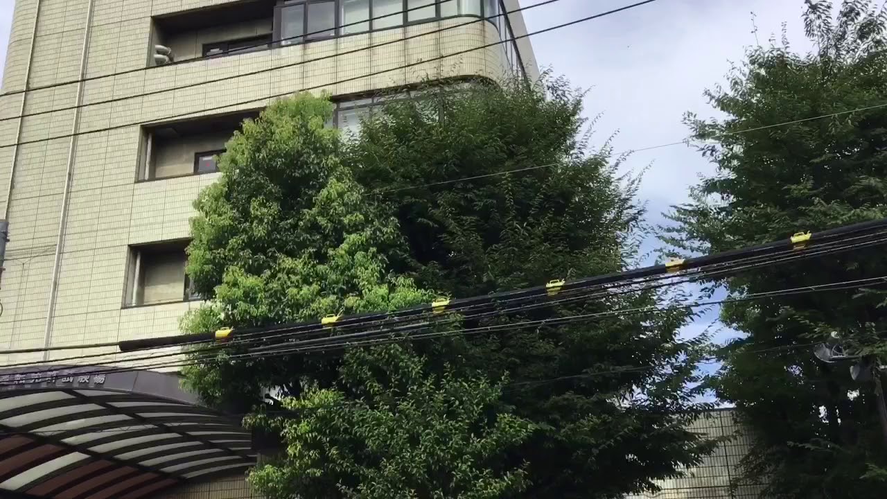 江東運転免許試験場 Youtube 江東運転免許試験場 Youtube