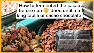 Cacao harvesting, fermentation & direct sundried until making tablea