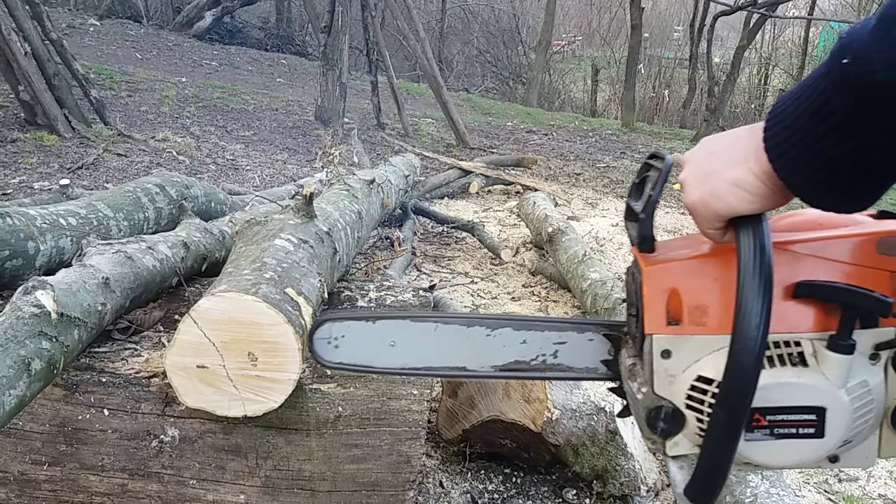 Amazing //chainsaw vs kickback,,/atentie!,,Drujba vs Recul,,!😎 YouTube