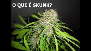 O Que É Skunk?
