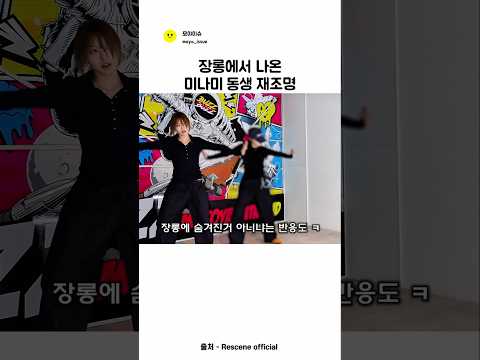 장롱에서 나온 미나미 동생 재조명 ㅣ리센느 thumbnail