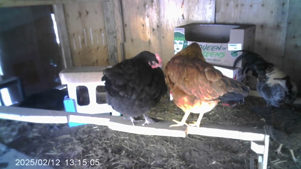 v 250212 012 v 250212 014