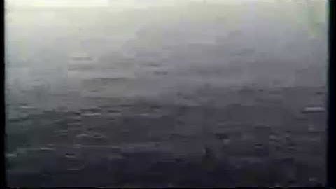 Ivy - Edge of the Ocean