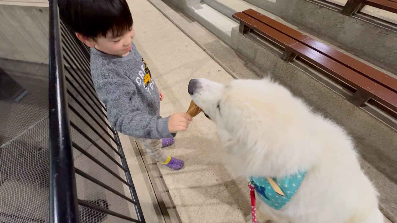 遊びに来た男の子から「これ動画撮ってYouTubeのせてよ」と言われた